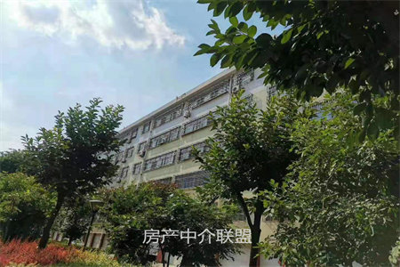 东平南城区江南府邸107平三室两厅一卫中档装修售价82万